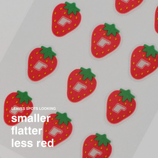 Rhode Strawberry Spotwear Hydrocolloid Patches
